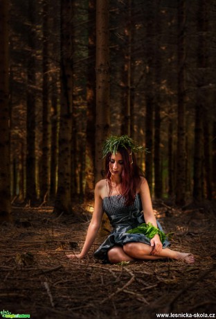 Lesní paní - Foto Filip Holič