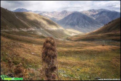 Kyrgyzstán 2016 - Foto Jana Vondráčková (24)