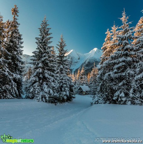 Zimní hory - Foto Jozef Pitoňák 0117 (11)
