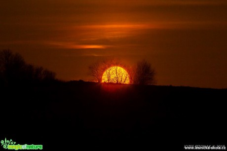 Když slunce duši léčí - Foto Jozef Pitoňák 1118 (1)
