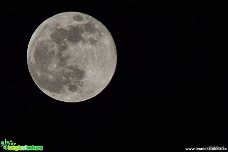 Měsíc - Foto Pavel Ulrych 0319