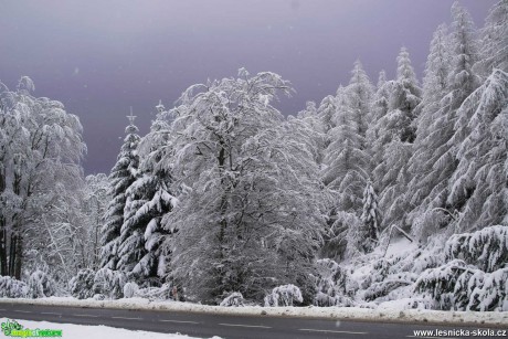 Cínovec v největší letošní zimě - Foto Jan Hlinka 0321  (2)