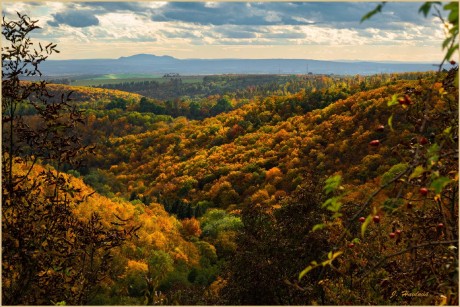 Pálava z podzimních lesů Moravského Krasu - Foto Jitka Havlová 1123