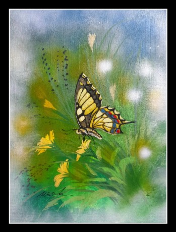Motýl - malba akrylem na plátno - Autor Marek Zimka 0124