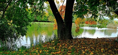 Barvy podzimu - Foto Pavel Balazka 1023 (1)