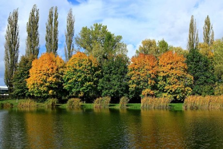 Barvy podzimu - Foto Pavel Balazka 1023 (2)