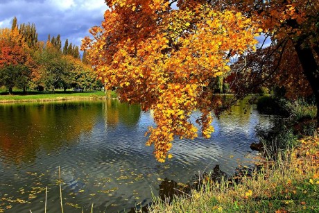 Barvy podzimu - Foto Pavel Balazka 1023 (3)