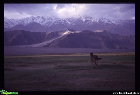 Severní Tibet - Kchun-Lun-Shan - Foto Jaroslav Pávek (6)