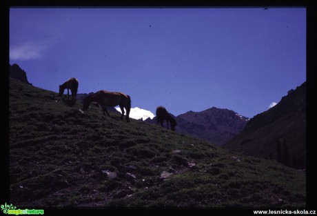 Tibet - Ťan-Šan - Foto Jaroslav Pávek (11)