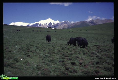 Východní Tibet - Amdo - Foto Jaroslav Pávek (8)