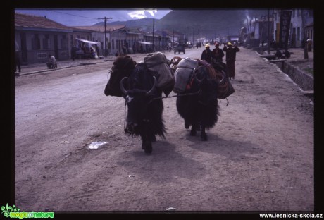 Východní Tibet - Amdo - Foto Jaroslav Pávek (14)