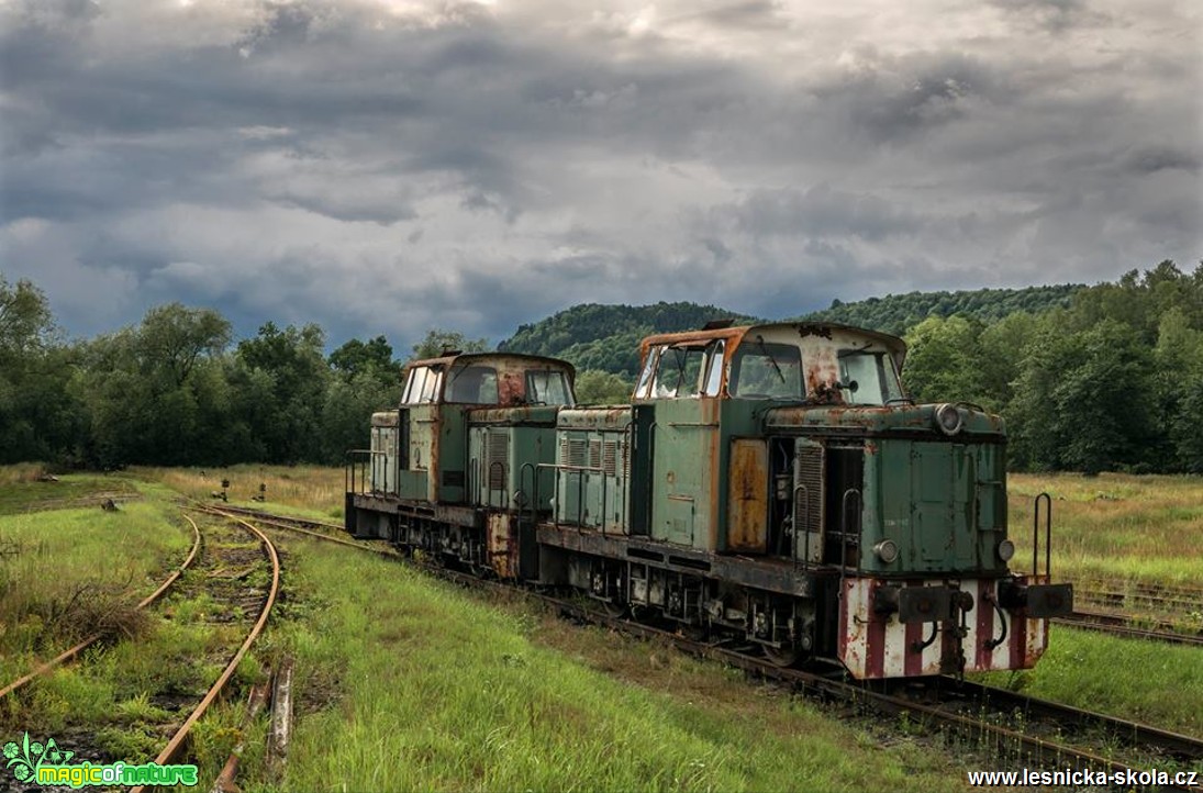 Krása starých mašin - Foto Petr Germanič 0817