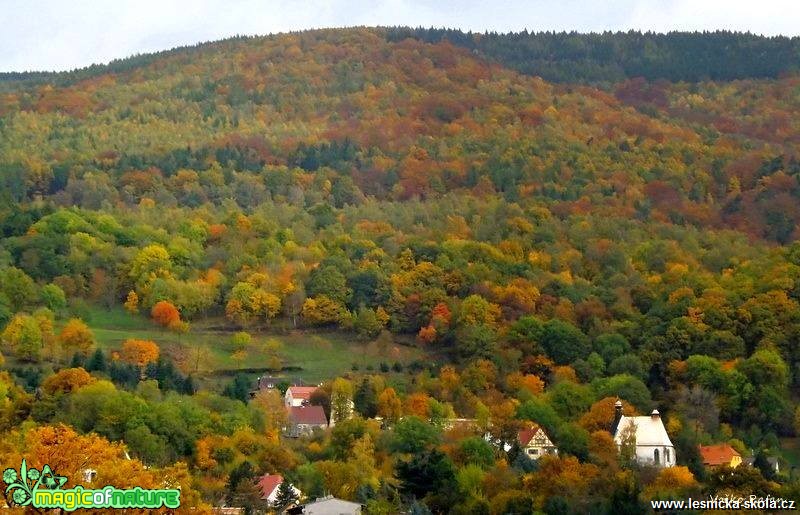 Podzimní barvy - Foto Jiří Havel 0918 (1)