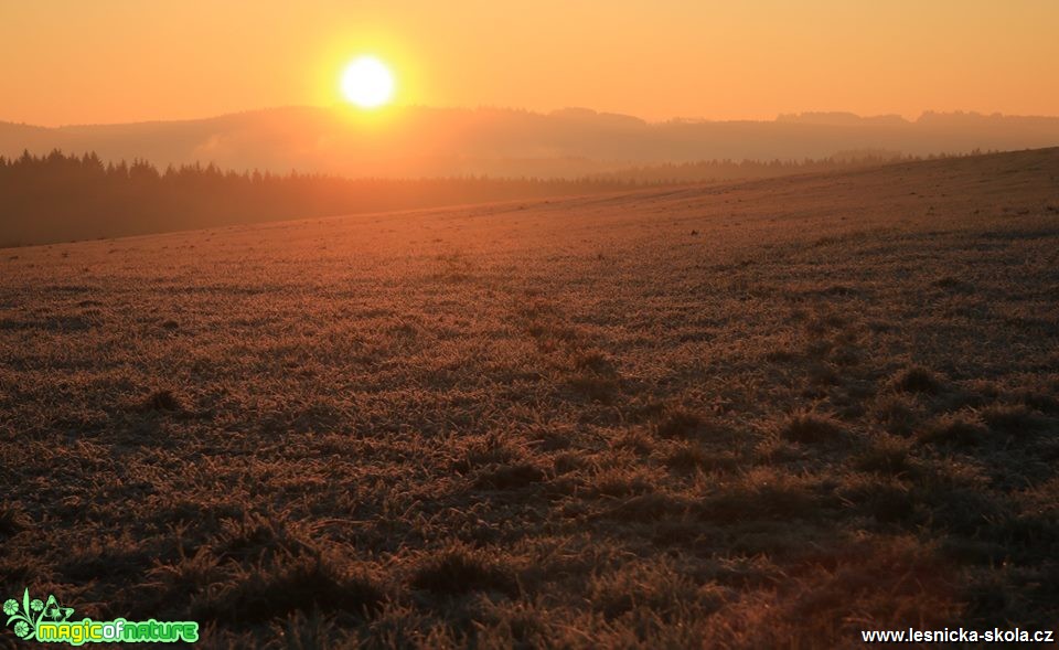 7. 11. vychází slunce nad Vysočinou - Foto Ladislav Jonák 1218