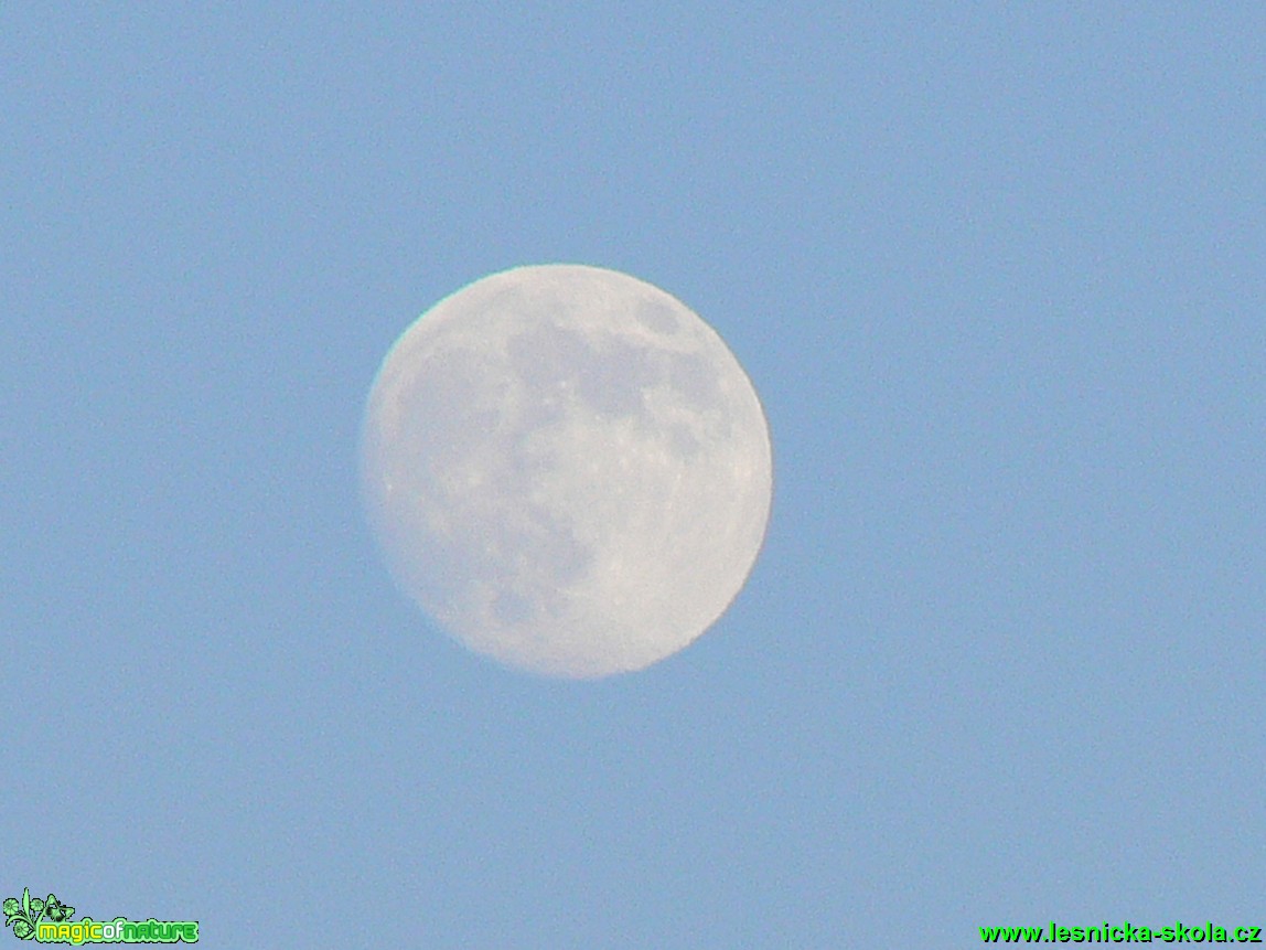 Měsíc ve dne - Foto Eliška Devátá