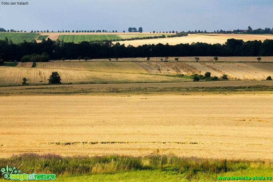 Zemědělská krajina - Foto Jan Valach (1)