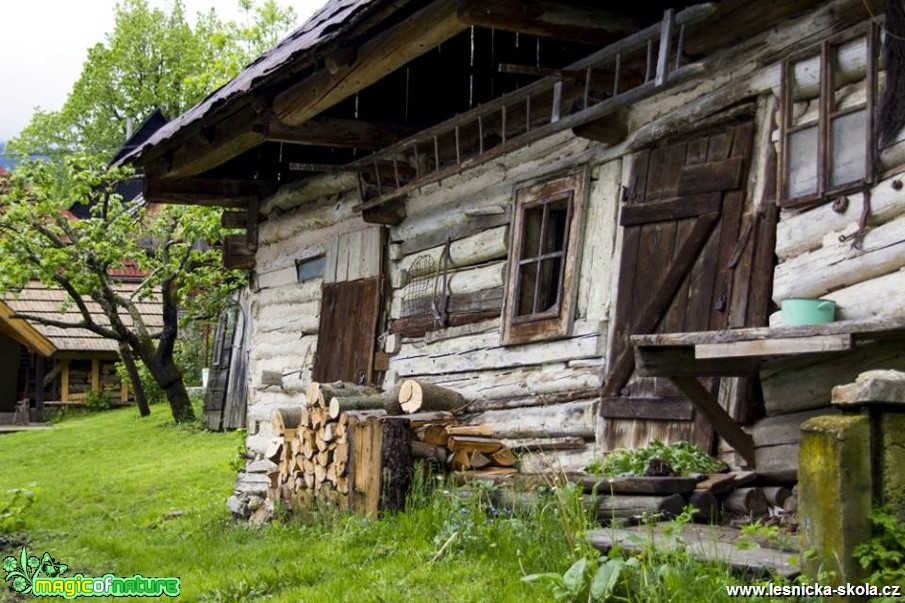 Dřevěnka v Tatrách - Foto Jozef Pitoňák