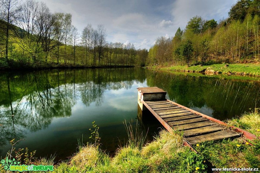 Chotovický jarní rybník - Foto Petr Germanič