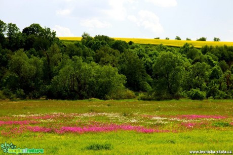 Louky u Kozmic - Foto Jan Valach