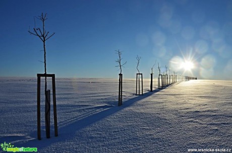Zima - Foto Marie Vykydalová