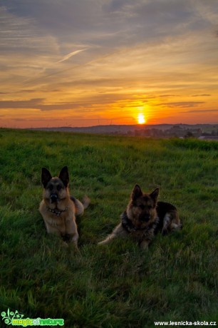 Vítání východu slunce - Foto David Hlinka