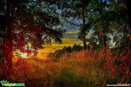 Kouzlo slunečního svitu - Foto Pavel Ulrych