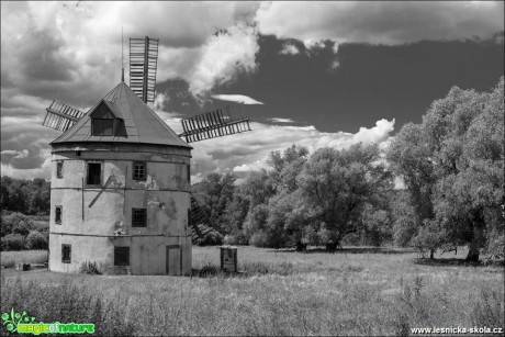 Větrný mlýn v Horním Podluží - Foto Petr Germanič