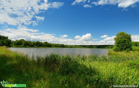 Rybník Světlík - Foto Petr Germanič