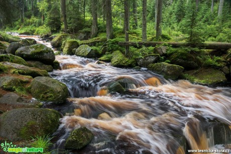 Šumavskými lesy vodní živel burácí - Foto Petr Germanič