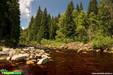 Z hlubokých lesů červená voda přitéká - Foto Petr Germanič