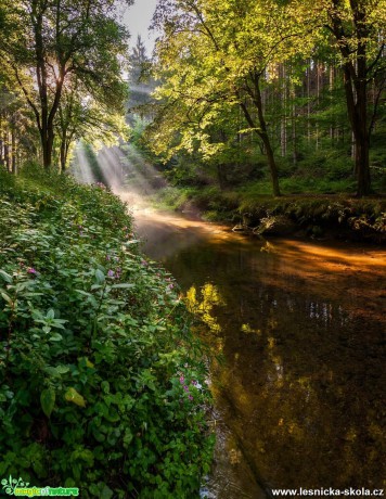 Kirnitztal - Foto Filip Holič