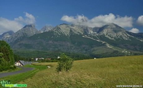 Vzpomínka na krásné Tatry - Foto Marie Vykydalová (6)