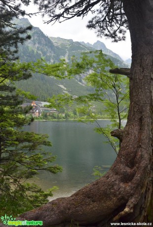 Vzpomínka na krásné Tatry - Foto Marie Vykydalová (16)