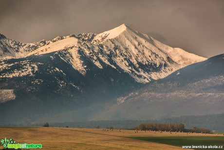 Každodenní příběh hor - Foto Jozef Pitoňák (3)