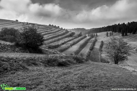 Každodenní příběh hor - Foto Jozef Pitoňák (4)