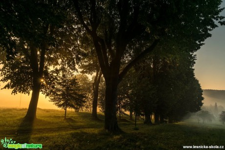 Na rozhraní dne - Foto Petr Germanič