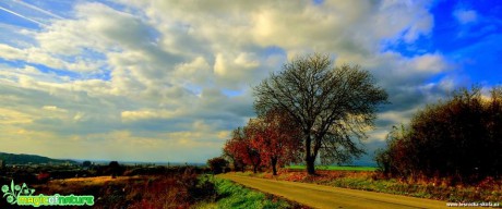 Podzimní krajina - Foto Pavel Balazka (3)