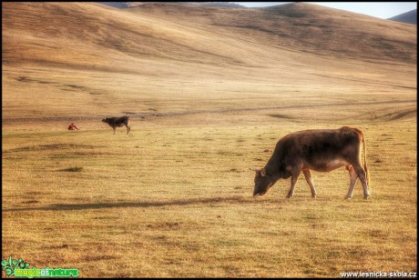 Kyrgyzstán 2016 - Foto Jana Vondráčková (34)