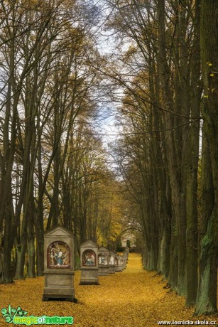 Podzimní kalvárie - Foto Petr Germaniče