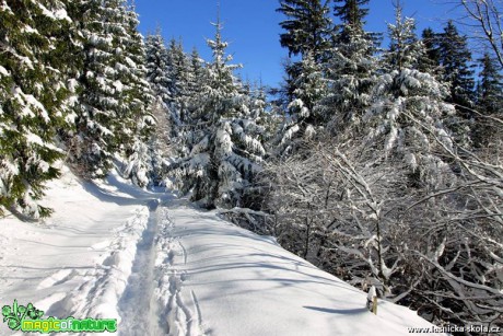 Od Šance po žluté na Lysou horu 4. 12. 2016 - Foto Jan Valach