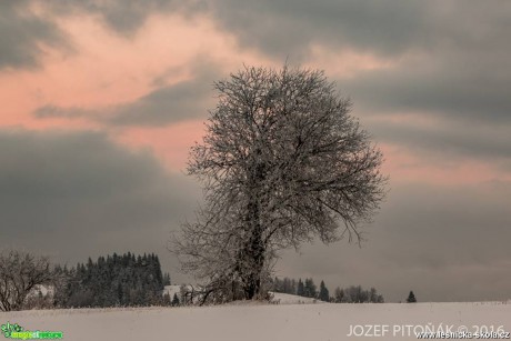 Krása hor - Foto Jozef Pitoňák 11-16 (2)