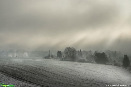 Chotovické mámení mlžné - Foto Petr Germanič