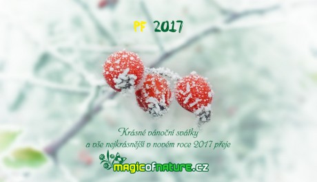 PF 2017 magicofnature