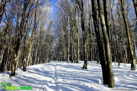 Od Šance po žluté na Lysou horu 4.12. 2016 - Foto Jan Valach (3)