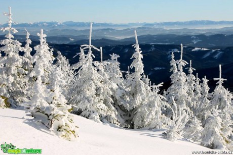 Od Šance po žluté na Lysou horu 4.12. 2016 - Foto Jan Valach