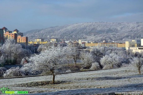 V Mostě - Foto Pavel Ulrych (1)