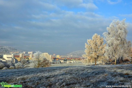 V Mostě - Foto Pavel Ulrych