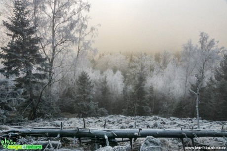 Dole přízračno bylo - Foto Petr Germanič