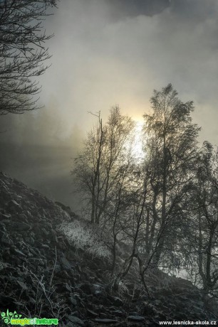 Pod kamenným mořem skrz mlhu prosvitlo - Foto Petr Germanič