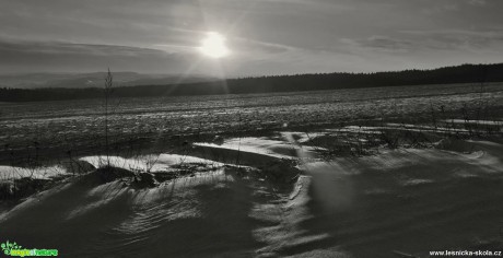 Černobílá zimní - Foto Ladislav Jonák 0117